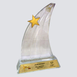CRN Excellence Award 2008 for Distributor
